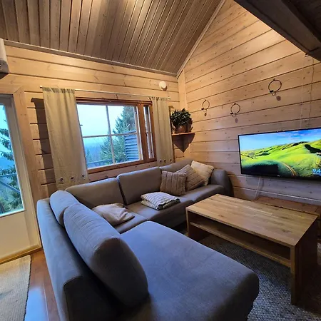 90m2 Vacation In Ruka *